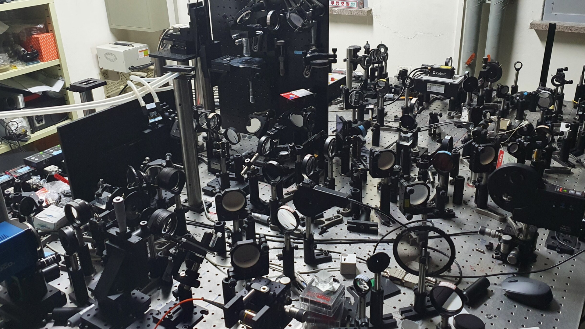 A novel holographic microscope could image mouse brain through its skull - Interesting Engineering