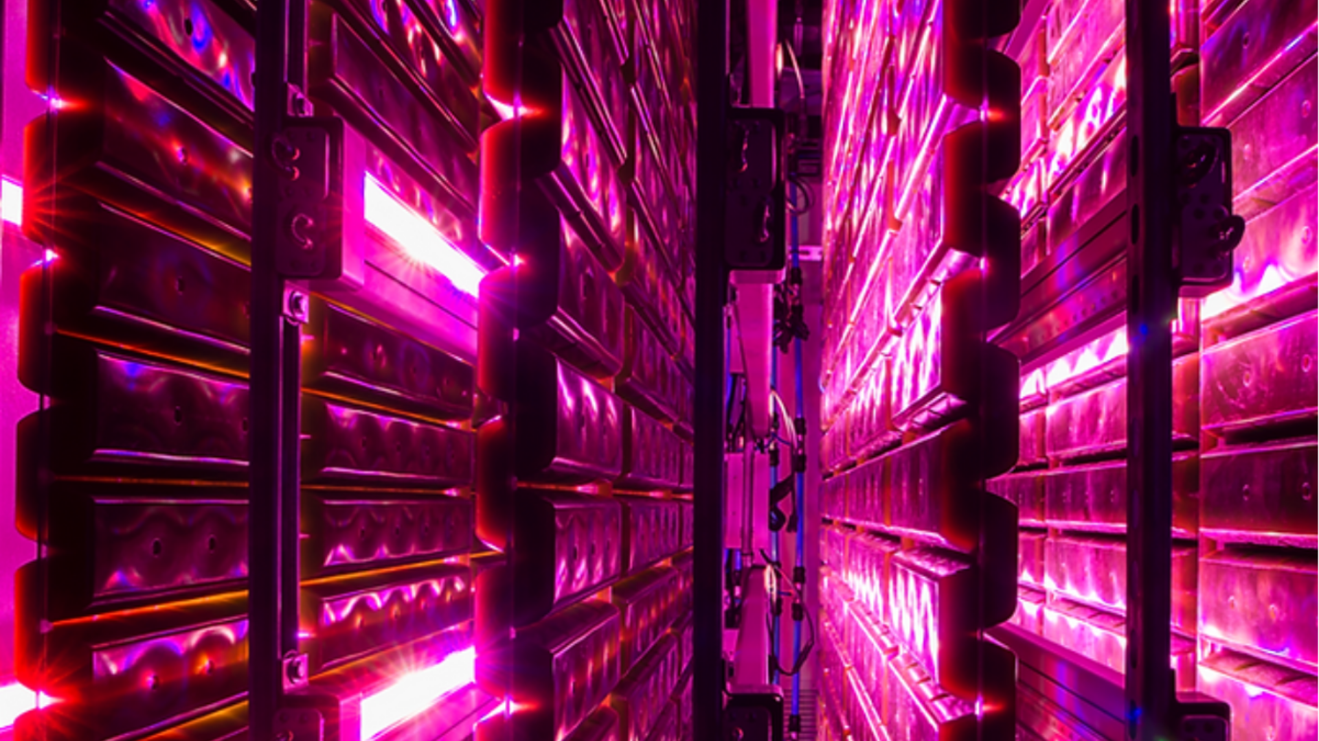 Company's vertical-farming technology enables it to produce algae from clean energy Company's vertical-farming technology enables it to produce algae from clean energy