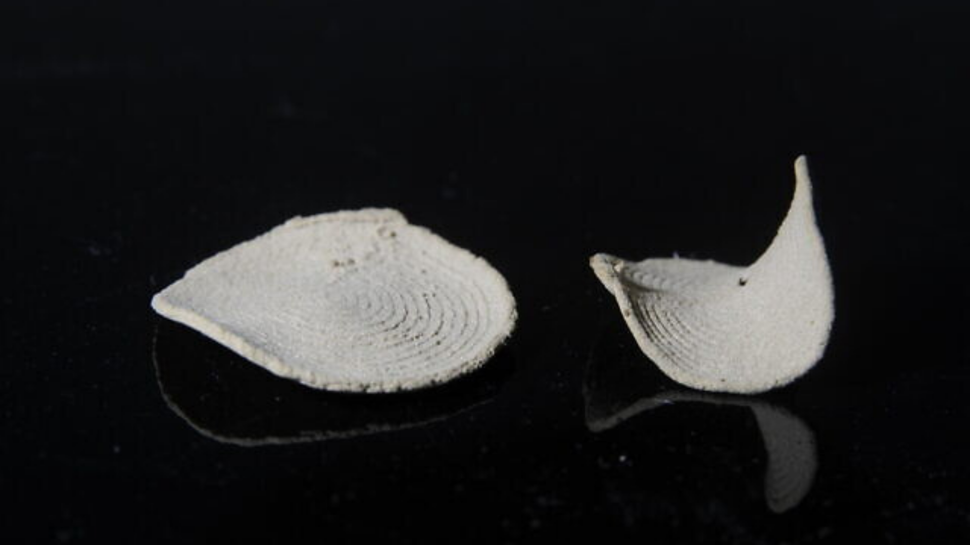 Israeli researchers managed to produce 3D printer ink to make wooden objects Israeli researchers managed to produce 3D printer ink to make wooden objects