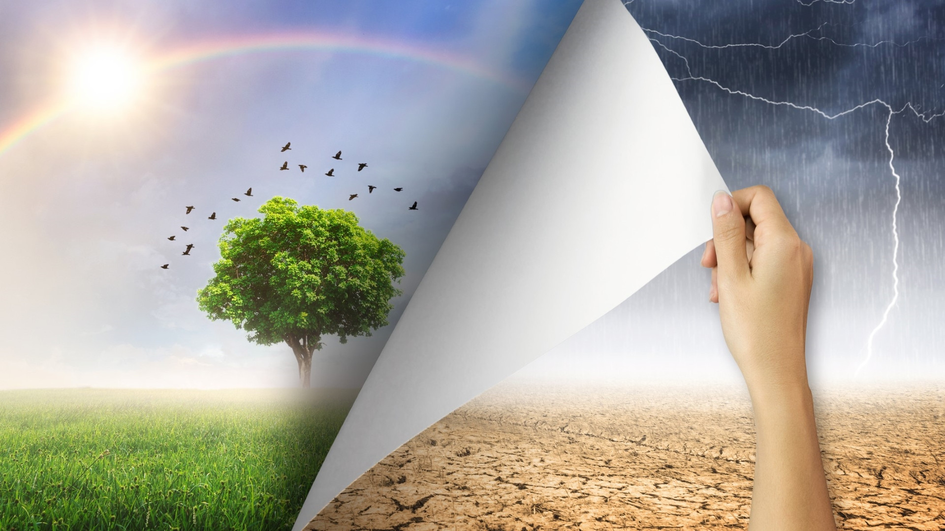 9 worst natural world protection measures that completely backfired - Vimarsana News