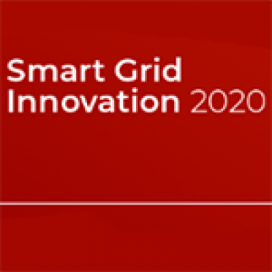 Smart Grid Innovation 2020