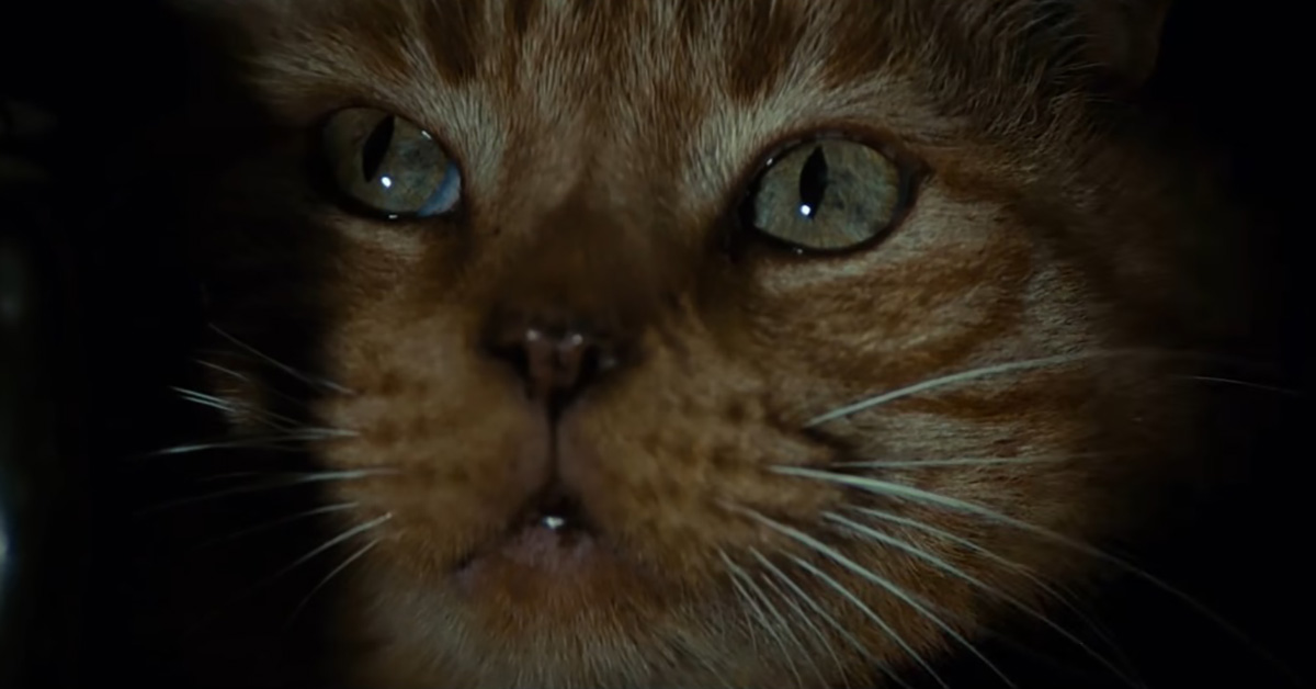 40 Facts About Ridley Scott's Alien on Its 40th Anniversary