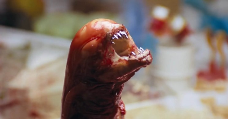 Alien-Larva Alien Larva