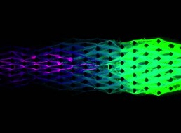 Engineers Create New Material that Behaves Like a Life-form