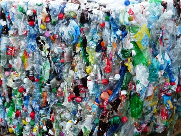 21 Sustainability Innovations and Initiatives That Might Just Change the World
