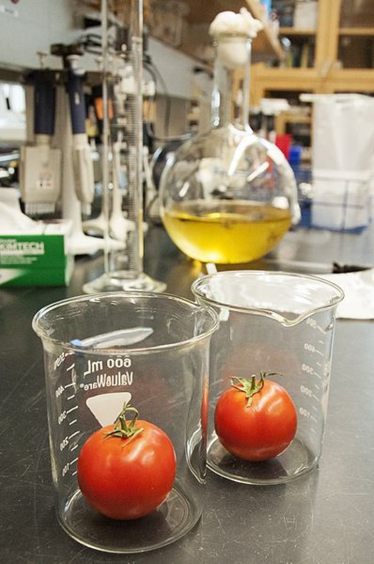chef chemistry lab