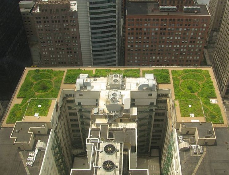 21 Sustainability Innovations and Initiatives That Might Just Change the World
