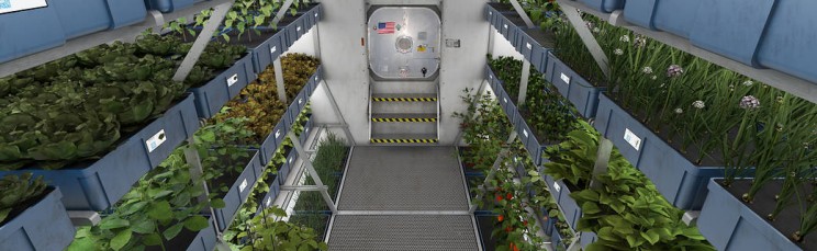Vegetables Grown in Antarctica Without Soil or Daylight Pave the Way for Mars Mission