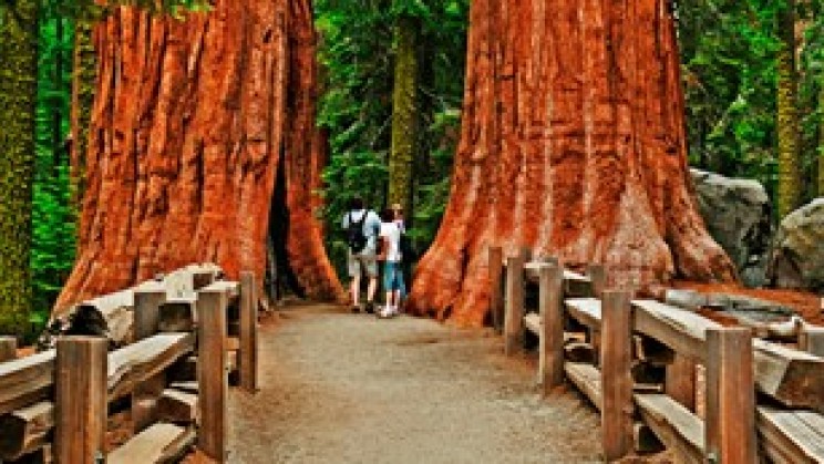 national parks sequoia