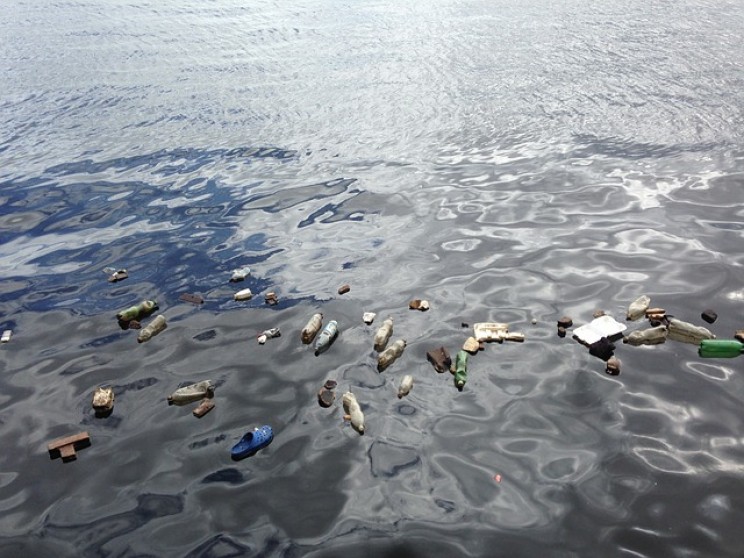 21 Sustainability Innovations and Initiatives That Might Just Change the World