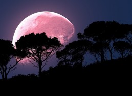 Get Ready for Friday's Full 'Pink' Moon