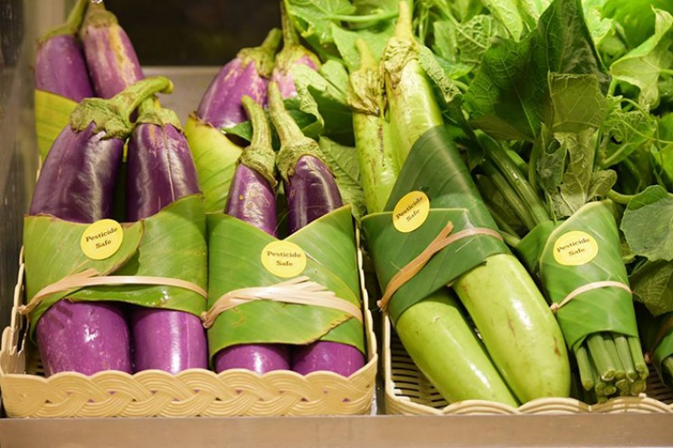 Thai Supermarket Uses Eco-Friendly Banana Leaves for Packaging Thai Supermarket Uses Eco-Friendly Banana Leaves for Packaging