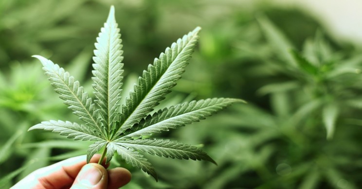 4/20 News: Weed Smokers Tend to Weigh Less, Says New Study