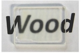 Transparent-Wood Transparent Wood