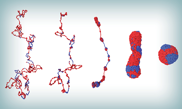 Scientists Map Chromosome Movement For the First Time Ever, Turns Out it is Like a Ballet Scientists Map Chromosome Movement For the First Time Ever, Turns Out it is Like a Ballet