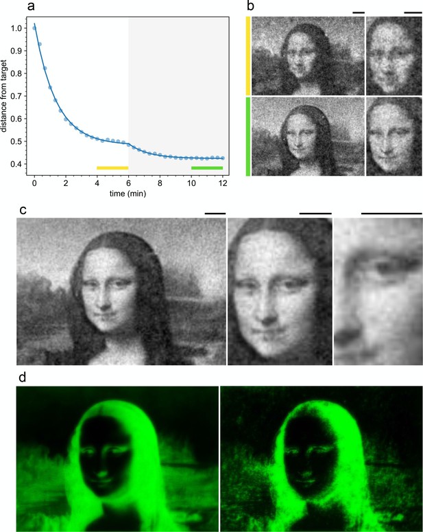 This Miniature 'Mona Lisa' Replica Is Created Using Genetically Modified Bacteria This Miniature 'Mona Lisa' Replica Is Created Using Genetically Modified Bacteria