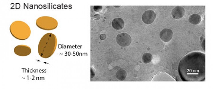Scientists Use Nanotechnology to Develop Novel Method for Growing Blood Vessels Scientists Use Nanotechnology to Develop Novel Method for Growing Blood Vessels
