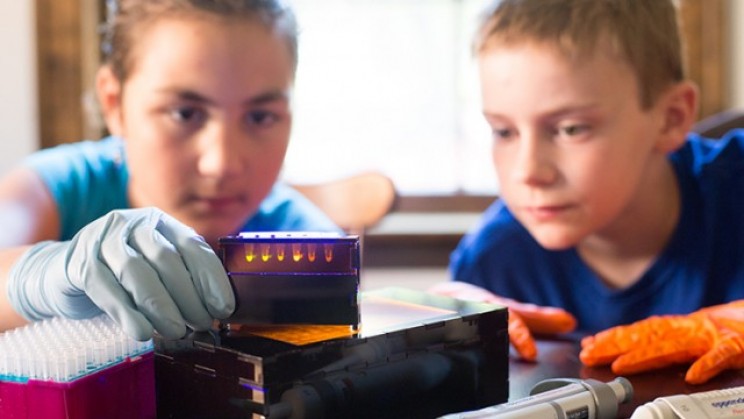 New Inexpensive Biology Kits With Freeze-Dried DNA Help Teach Teens Biological Concepts New Inexpensive Biology Kits With Freeze-Dried DNA Help Teach Teens Biological Concepts