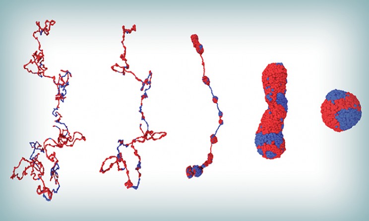 Scientists Map Chromosome Movement For the First Time Ever, Turns Out it is Like a Ballet Scientists Map Chromosome Movement For the First Time Ever, Turns Out it is Like a Ballet