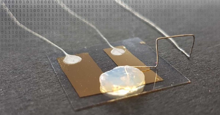 IT Energy Efficiency: Single-Atom Transistor in Gel Electrolyte Reaches the Limit of Miniaturization
