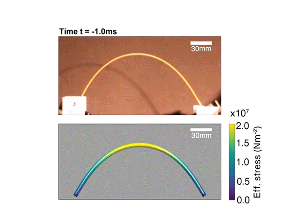 Feynman's Age-Old Spaghetti Dilemma Finally Solved by MIT Researchers Feynman's Age-Old Spaghetti Dilemma Finally Solved by MIT Researchers