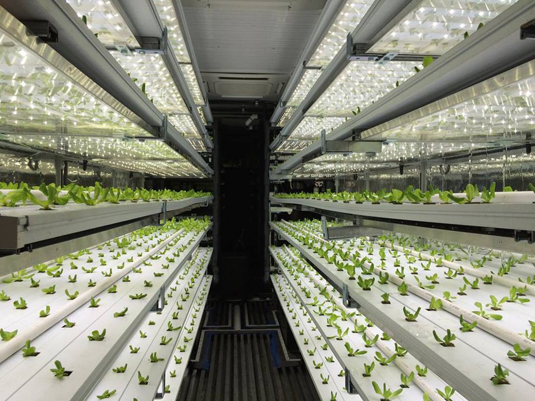 This Farming Company Hopes to Tackle World Hunger With Indoor Agriculture This Farming Company Hopes to Tackle World Hunger With Indoor Agriculture