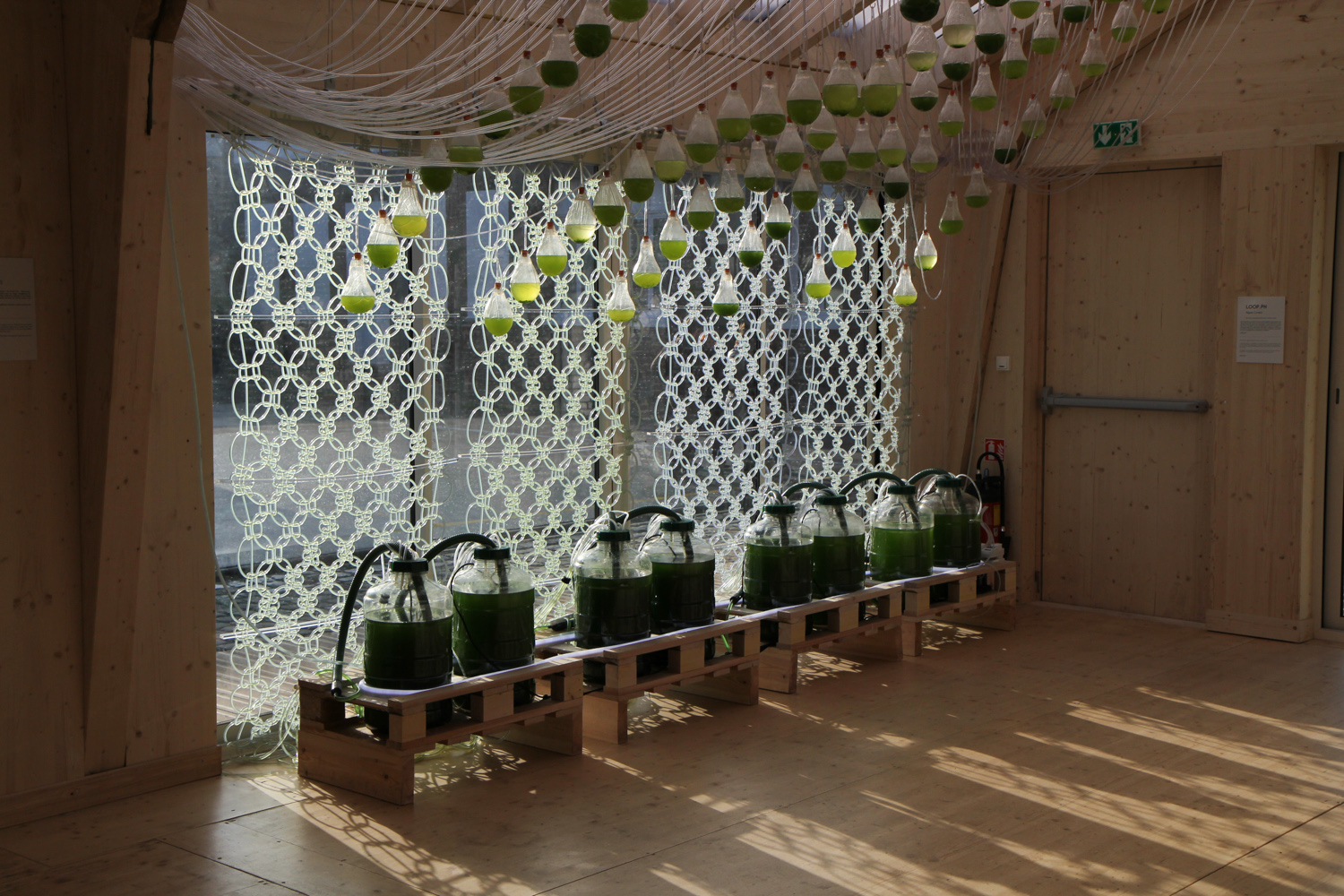 9 Algae-Powered Innovations for Sustainable Future Living 9 Algae-Powered Innovations for Sustainable Future Living