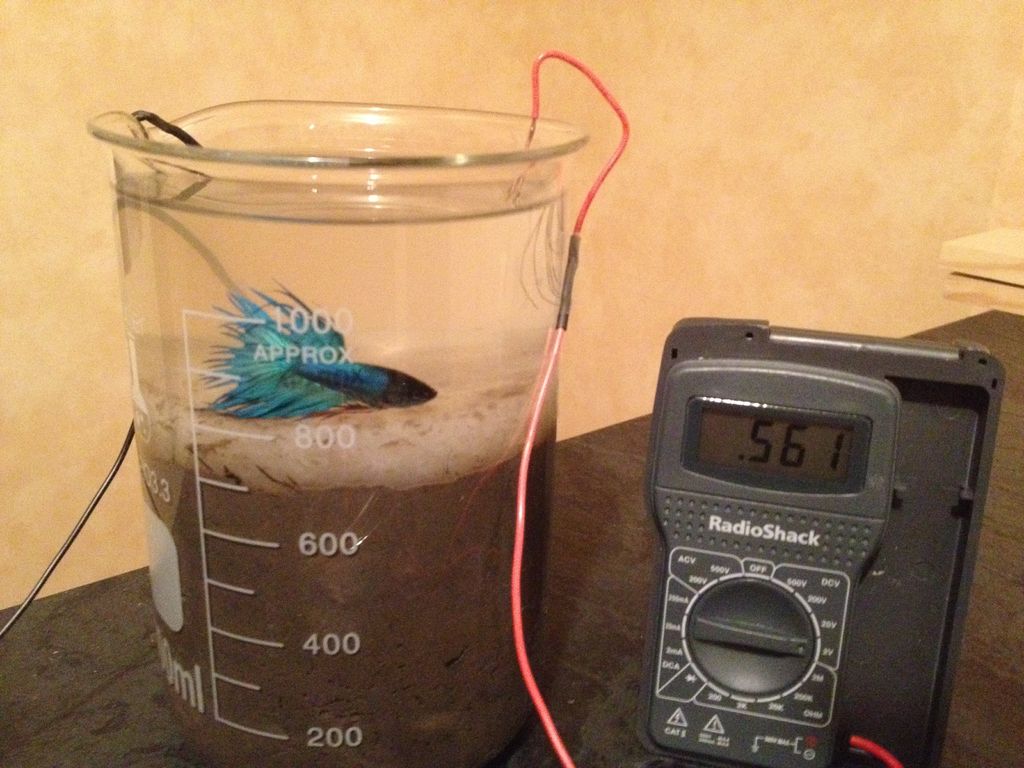 domestic engineering fuel cell