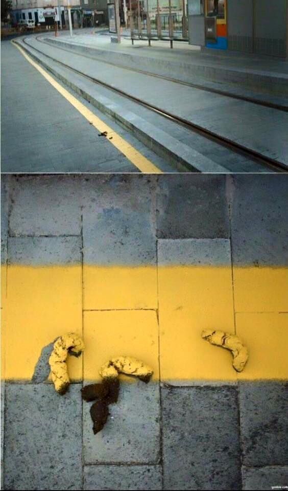 15 Best "Not My Job!" Images on the Internet 15 Best "Not My Job!" Images on the Internet