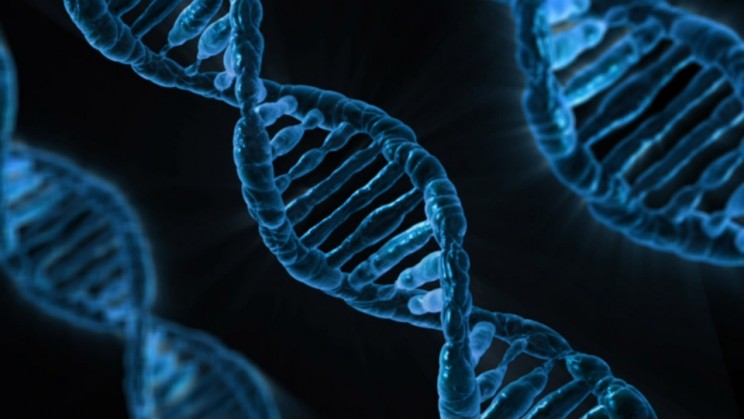 A List of All the Science and Tech Breakthroughs from 2017 A List of All the Science and Tech Breakthroughs from 2017