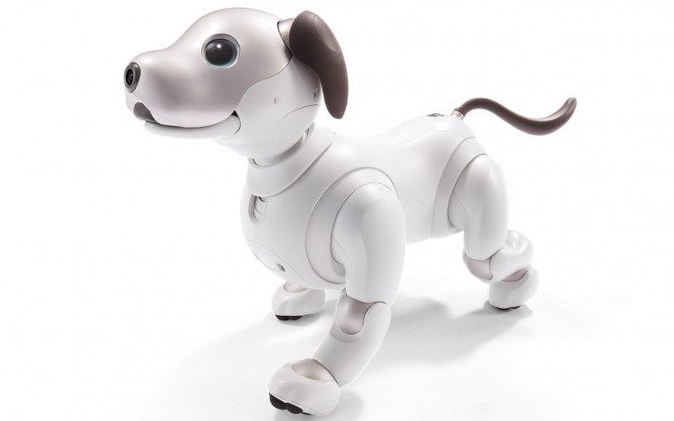 Here Are 5 Cute Robots You Should Ask Santa For This Christmas