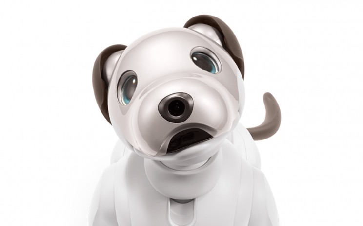 Here Are 5 Cute Robots You Should Ask Santa For This Christmas