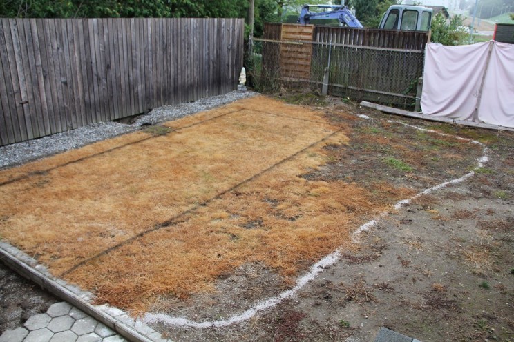 Redditor Shows, Step-by-Step, How He Built an Amazing Pond in His Backyard