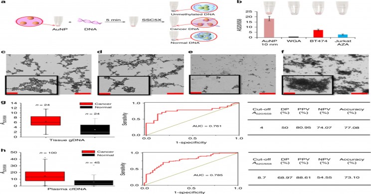 New Promising Nano-Based Technique to Detect Cancer New Promising Nano-Based Technique to Detect Cancer