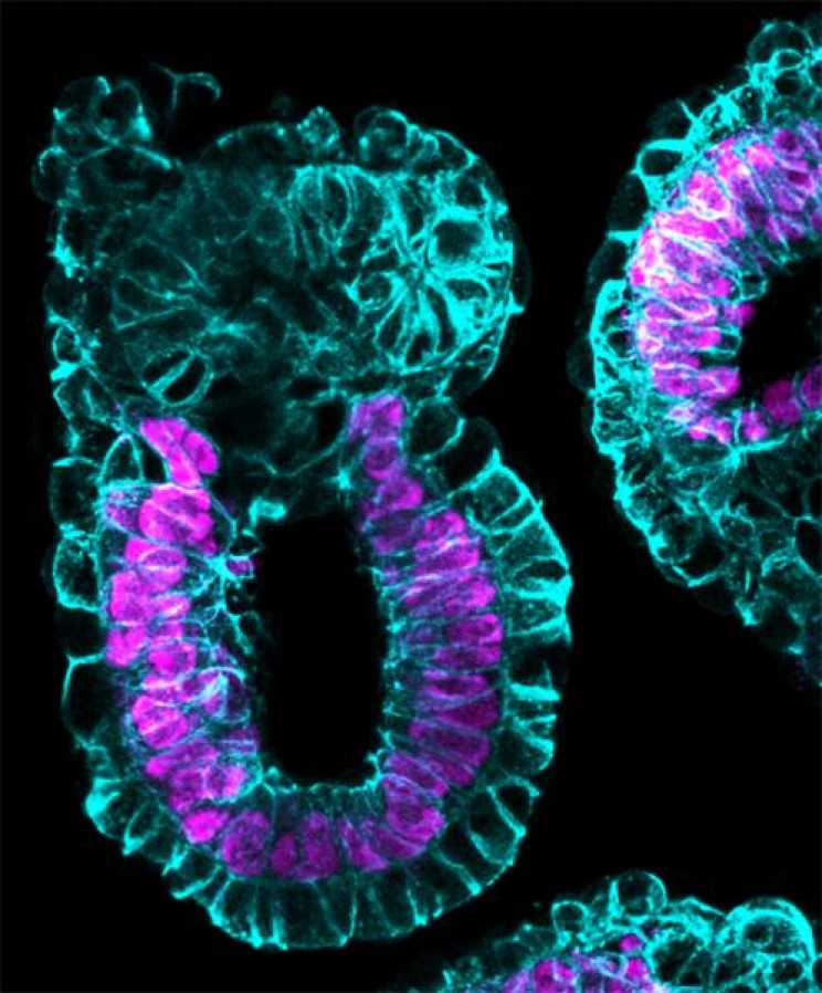 GAME-CHANGING FUTURISTIC TECHNOLOGIES embryo