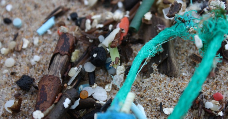 Microplastics Microplastics