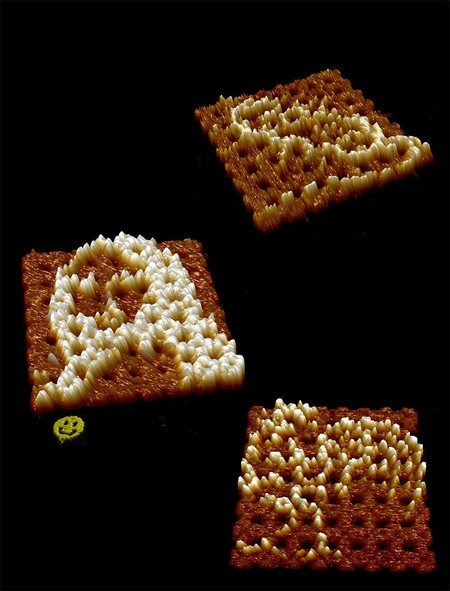 Scientists Produce Microscopic Copy of Mona Lisa Using DNA Strands Scientists Produce Microscopic Copy of Mona Lisa Using DNA Strands
