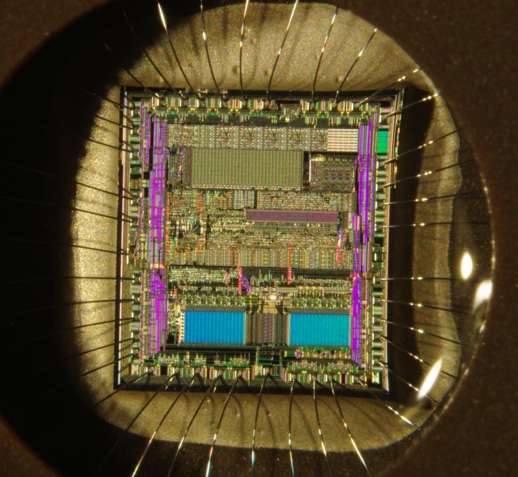 What Are Microcontrollers and Why Should You Care?