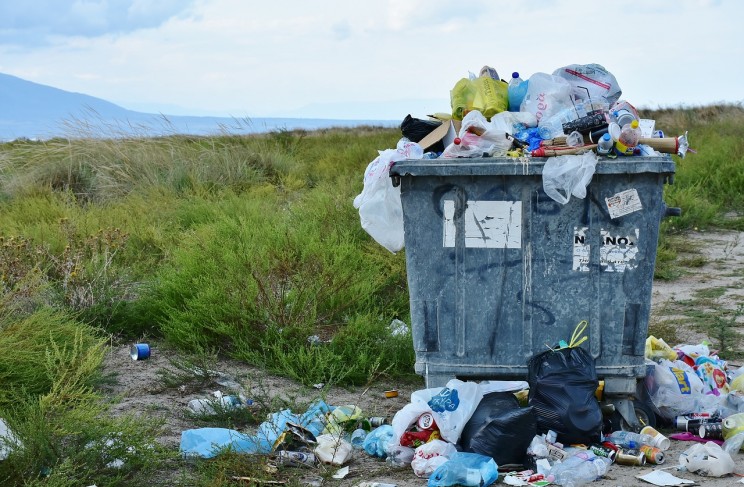 10 Ways to Have a Christmas Party Without Ruining the Environment 10 Ways to Have a Christmas Party Without Ruining the Environment