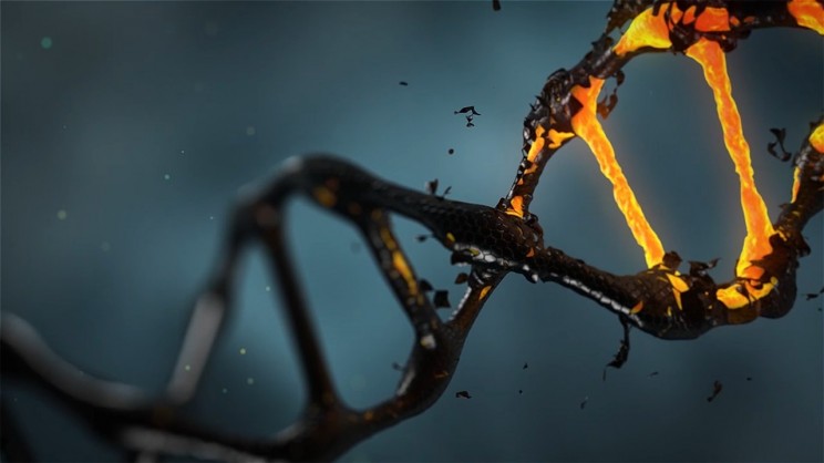 How CRISPR Genome Editing Works and How It Could Make Us Superhumans How CRISPR Genome Editing Works and How It Could Make Us Superhumans