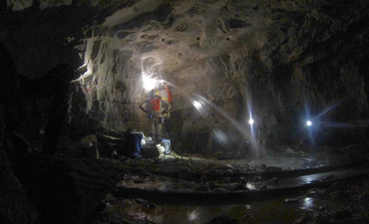 Underground Ecosystem More Diverse Than Life on The Surface Underground Ecosystem More Diverse Than Life on The Surface