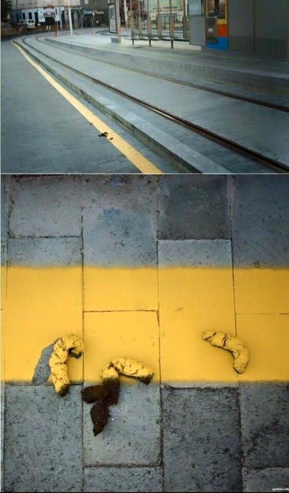 15 Best "Not My Job!" Images on the Internet 15 Best "Not My Job!" Images on the Internet