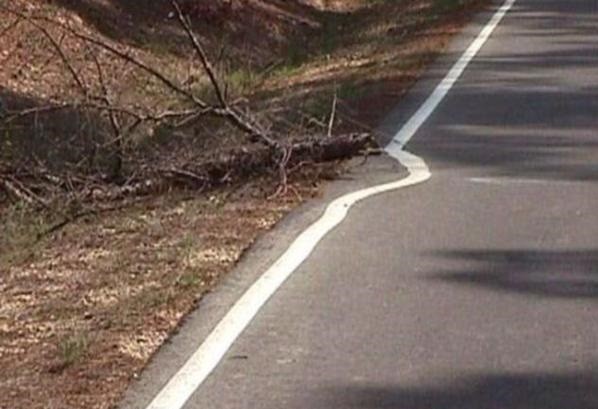 15 Best "Not My Job!" Images on the Internet 15 Best "Not My Job!" Images on the Internet