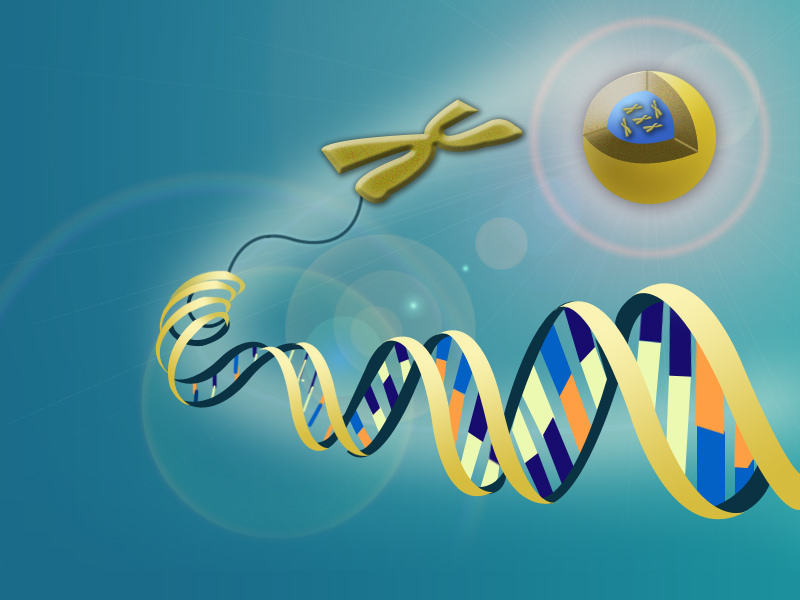 Newly Detailed "Anti-CRISPR" Proteins May Hold the Key to Safe Genetic Editing Newly Detailed "Anti-CRISPR" Proteins May Hold the Key to Safe Genetic Editing