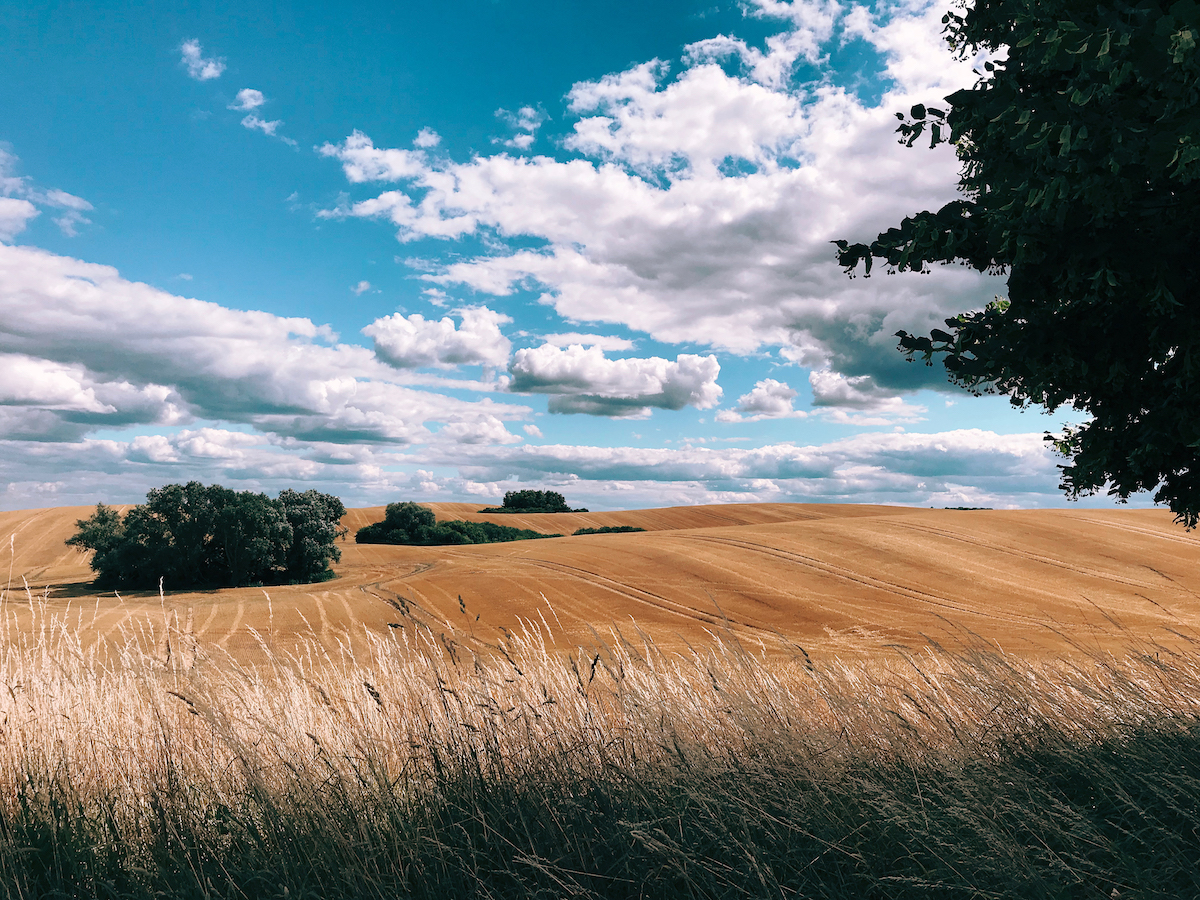 The Best Apple iPhone Photography of The Year The Best Apple iPhone Photography of The Year