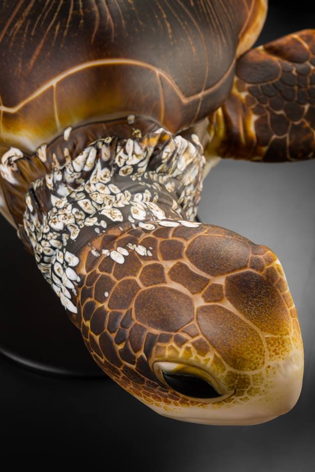 This Glass Artist Created a Sea Turtle Sculpture So Lifelike You'll Swear It's Real This Glass Artist Created a Sea Turtle Sculpture So Lifelike You'll Swear It's Real