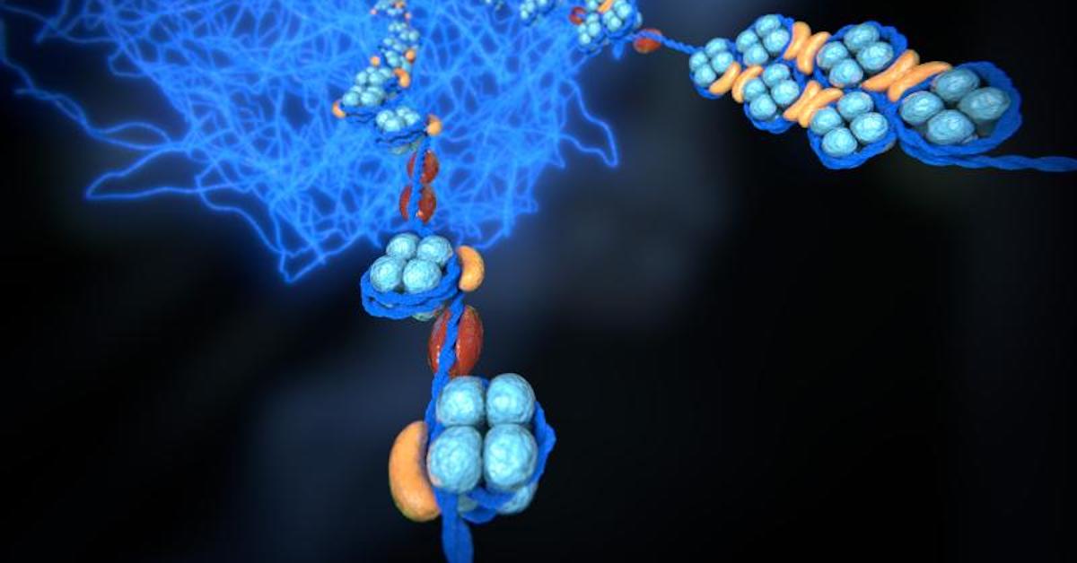 Super-Resolution Microscope Can 'See' DNA