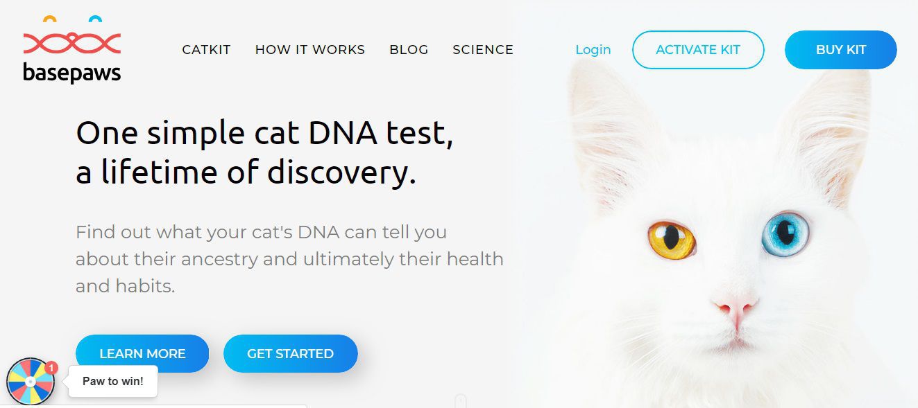 9 Amazing Must Have Gadgets For Pets