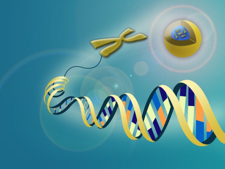 Newly Detailed "Anti-CRISPR" Proteins May Hold the Key to Safe Genetic Editing Newly Detailed "Anti-CRISPR" Proteins May Hold the Key to Safe Genetic Editing