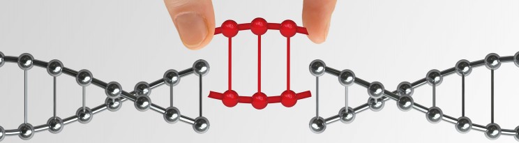 Newly Detailed "Anti-CRISPR" Proteins May Hold the Key to Safe Genetic Editing Newly Detailed "Anti-CRISPR" Proteins May Hold the Key to Safe Genetic Editing